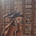 Balancing Bird