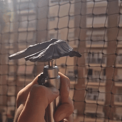 Balancing Bird